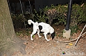 VBS_6414 - Inaugurazione Stagione 2022-23 Simulazione Ricerca Tartufo